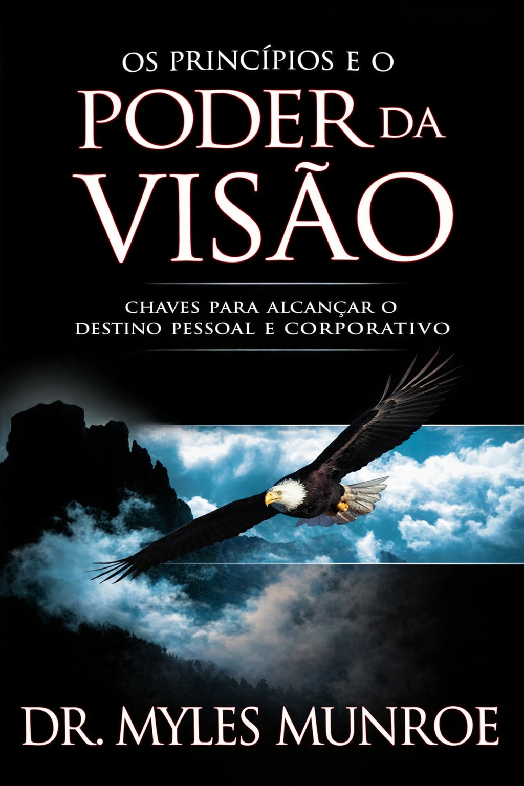 OS PRINCIPIOS E O PODER DA VISÃO